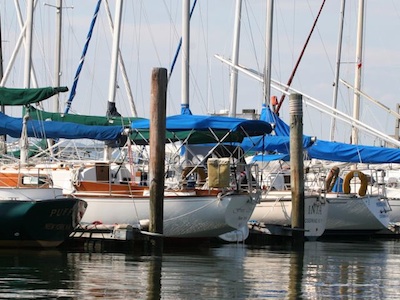 SYC docked boats2