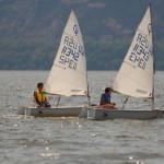 optimist2